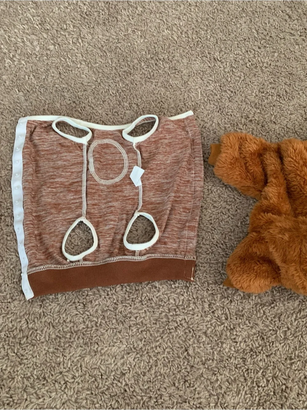 Dog Clothes Accessories Set of 3